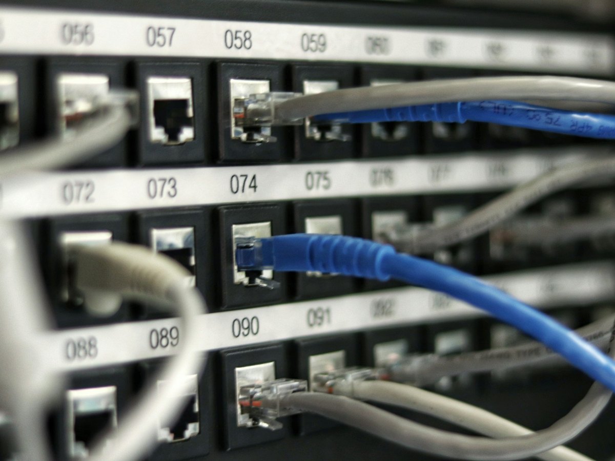Blue network cables connected to rack equipment